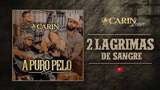 Lagrimas de Sangre - CARIN LEON