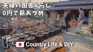 # 132 Как заготовить дрова для нашей дровяной печи - DIY AND LIVING IN 100-YEAR-OLD JAPANESE HOUSE