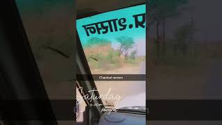 Chambal Revinen Going