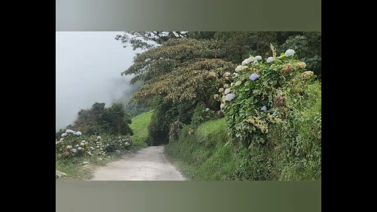 Un lugar muy bello y para ir y conocer. Bosque nuboso El Iral en Coronado, San José, Costa Rica.