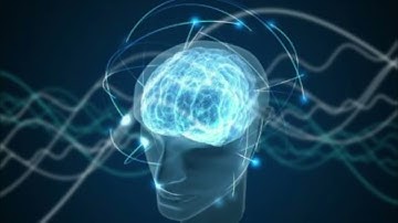 Cảnh giác! Hoa hơi thở của quỷ được thấy mọc nhiều ở Đà Lạt.