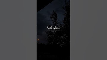 أَوَلَم يَتَفَكَّروا في أَنفُسِهِم | محمد صديق المنشاوي | سورة الروم
