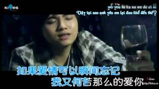 [Vietsub   Kara] Đã từng yêu em - Trịnh Nguyên