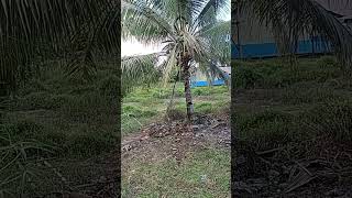 Jangan kotori hatimu #religi #motivasi