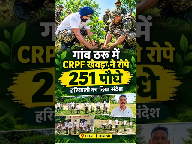 गांव ठरू में सीआरपीएफ खेवड़ा ने रोपे 251 पौधे, हरियाली का दिया संदेश #neerajkumartharu #tharu