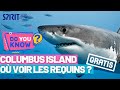 Comment voir les requins au Club Med Columbus Island ?