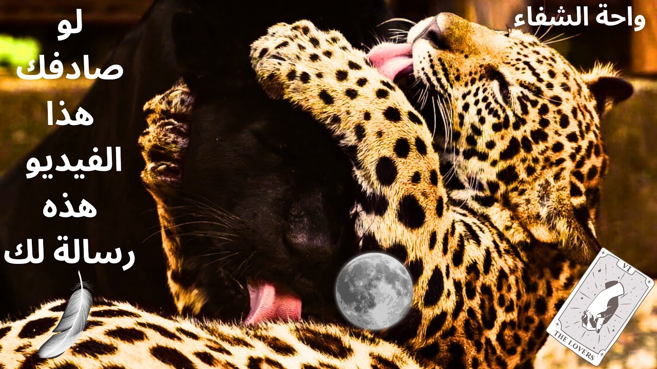 هذا الشخص يتابعك من بعيد و يستشعر التواصل بينكم 🕊️💗🔥