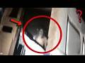 10 SCARY VIDEOS That Will Leave You TERRIFIED 10 SCARY VIDEOS That Will Leave You TERRIFIED