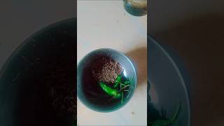 पकौड़ी dicc