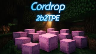 2b2tpe coordrop