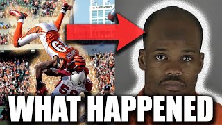 From MOST ICONIC Play In NFL History To Out Of The League (What Happened to Jerome Simpson?)