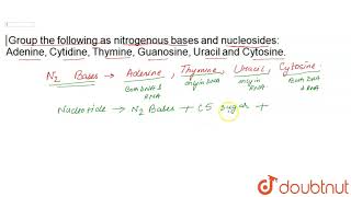 Group The Following As Nitrogenous Bases And Nucleosides