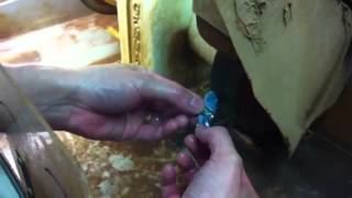 Shaping the opal