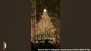 MOST WONDERFUL TIME OF THE YEAR: Crowd Goes Wild at Rockefeller Center's Christmas Tree Lighting