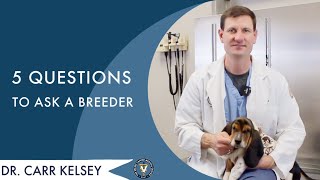 5 Questions To Ask A Breeder