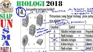 Prediksi un biologi sma 2018 paket a ...