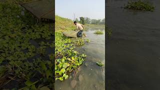 ROX Spot = Monster Zone #freshwaterfish #fishing #farming