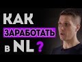 Как работать в компании NL International. Первые шаги.