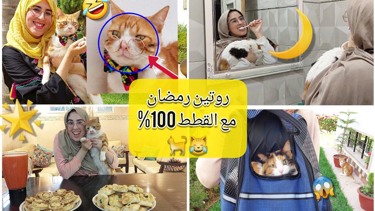 روتيني في رمضان من السحور الى الفطور مع قططي🐈🌙/ كواليس التصوير 📽 🤣