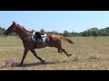 The Comeback - Horse Bloopers 2018