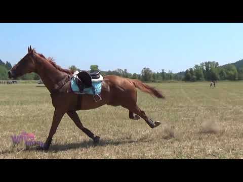 the-comeback---horse-bloopers-2018