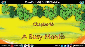 A busy month - Chapter 16 Class 4 EVS | Part 1