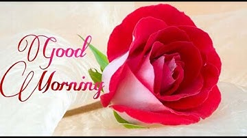 Latest Good Morning wishes, SMS, greetings, Whatsapp Video message