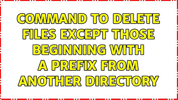 Command to delete files except those beginning with a prefix from another directory