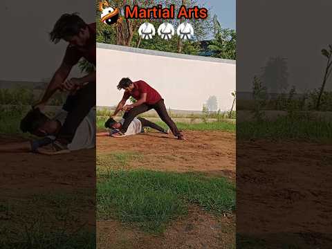 pencak silat🥷 @shorts @pradeep_fighter_official #shorts #subscribe #youtubeshorts
