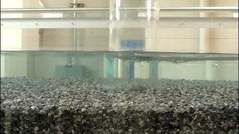 Scour at Bridge Model Pier