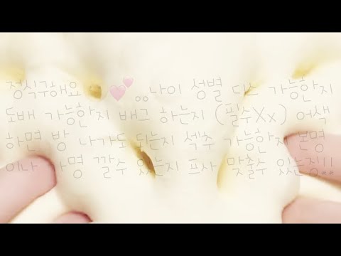 정식 구해요🌝🤍 정식 구함 정식 구하는 반모방 탑 구하는 반모방 단정 안받음