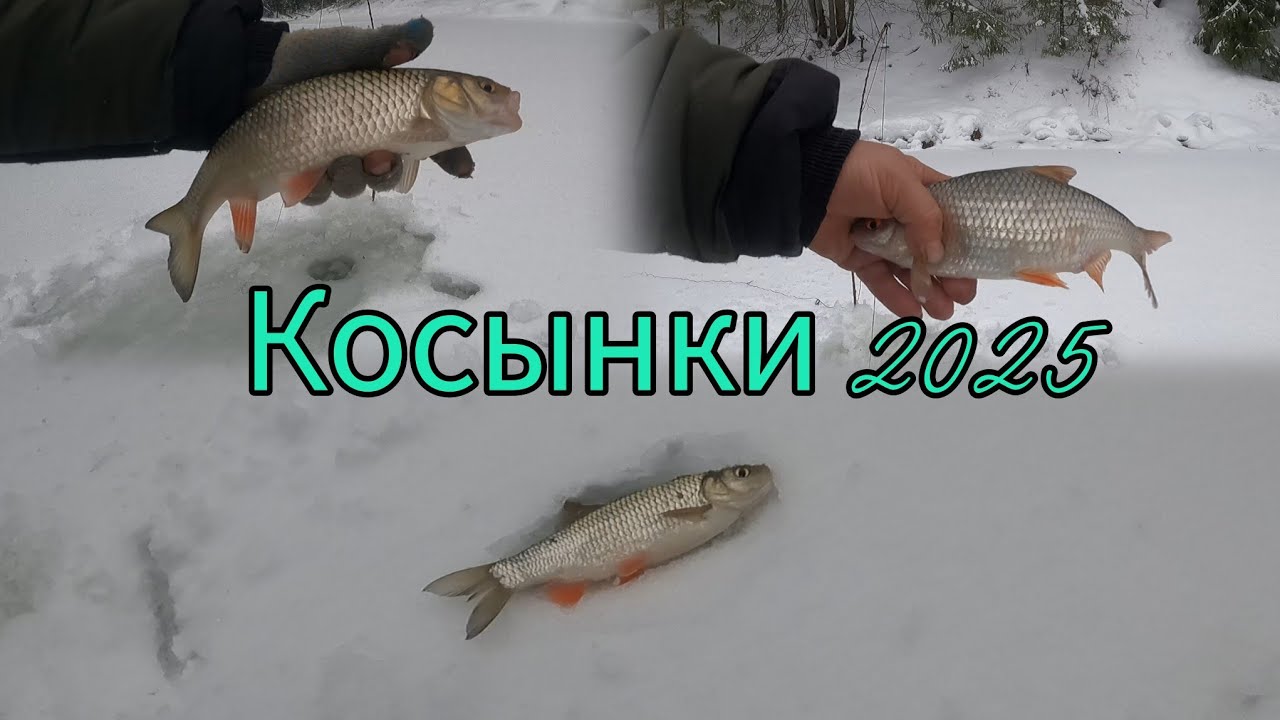 ТАЕЖНАЯ РЕЧКА РАЗДАЕТ. РЫБАЛКА НА КОСЫНКИ.  ВЕСЬ ДЕНЬ ДОЖДЬ,  А МЫ ЛОВИМ.