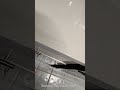 Premium appliance repair for every home