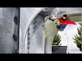 These skaters impress you!!! (Perfect skill) Skateboarding