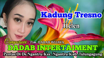 Langgam Kadung Tresno Voc Helen Campursari DABINT INTERTAIMENT Pentas Di Ds Ngantru Tulungagung