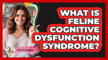 What Is Feline Cognitive Dysfunction Syndrome? - Happy Cat Handbook