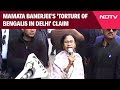 Mamata Banerjee In Delhi | CM Mamata's 'Torture Of Bengalis In Delhi' Claim Before Poll Chief Meet