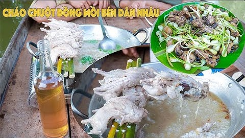 Cuộc sống săn bắt mùa nước nổi 2024 - Tập 24 | Gấc Quê