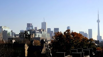Welcome to the Rotman Morning and Evening MBA programs