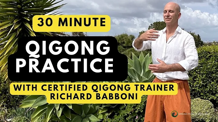 Spring Forest Qigong Everyday Practice with Certif...