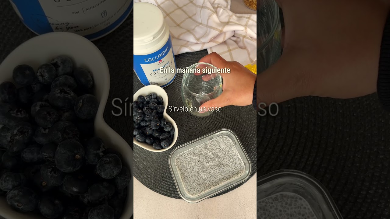 Recetas con colágeno COLLAMIN - Pudín de Chía y Arándanos