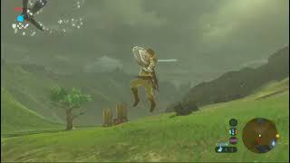 Best Zelda Video