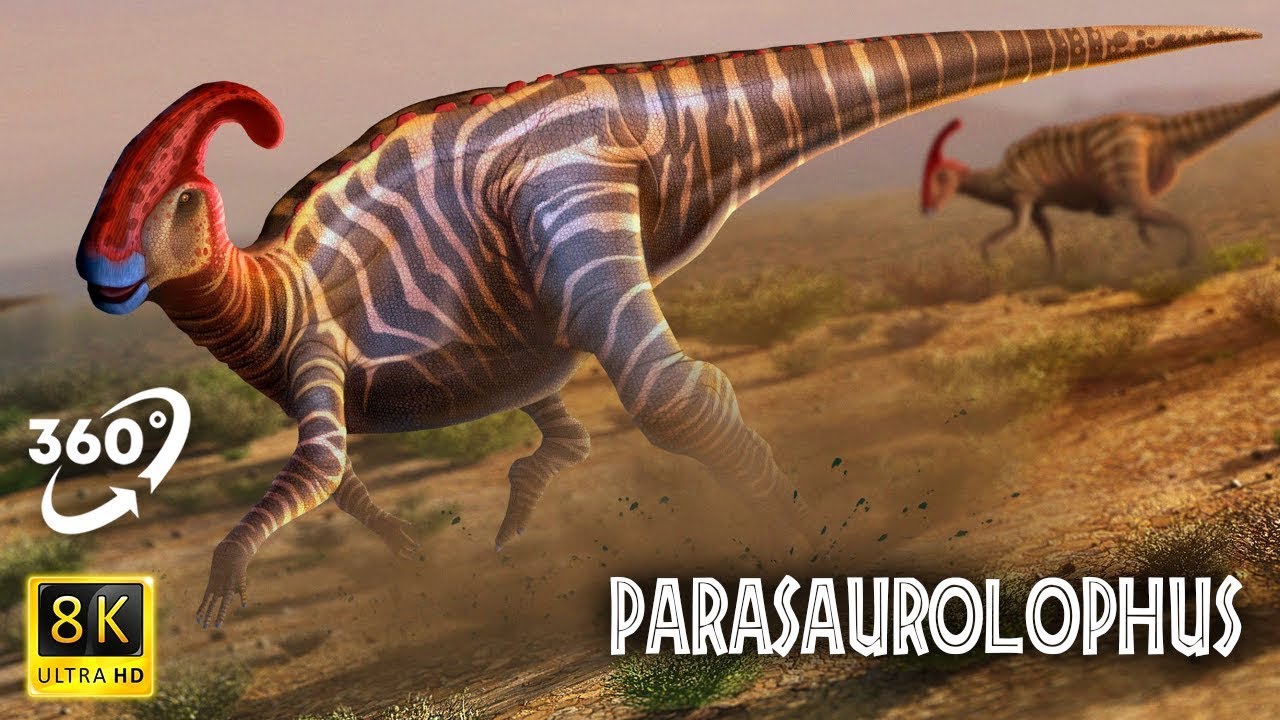 VR Jurassic Encyclopedia #21 - Parasaurolophus dinosaur facts  360 Education