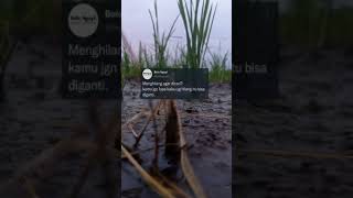 viral tiktok dj toxic #shorts