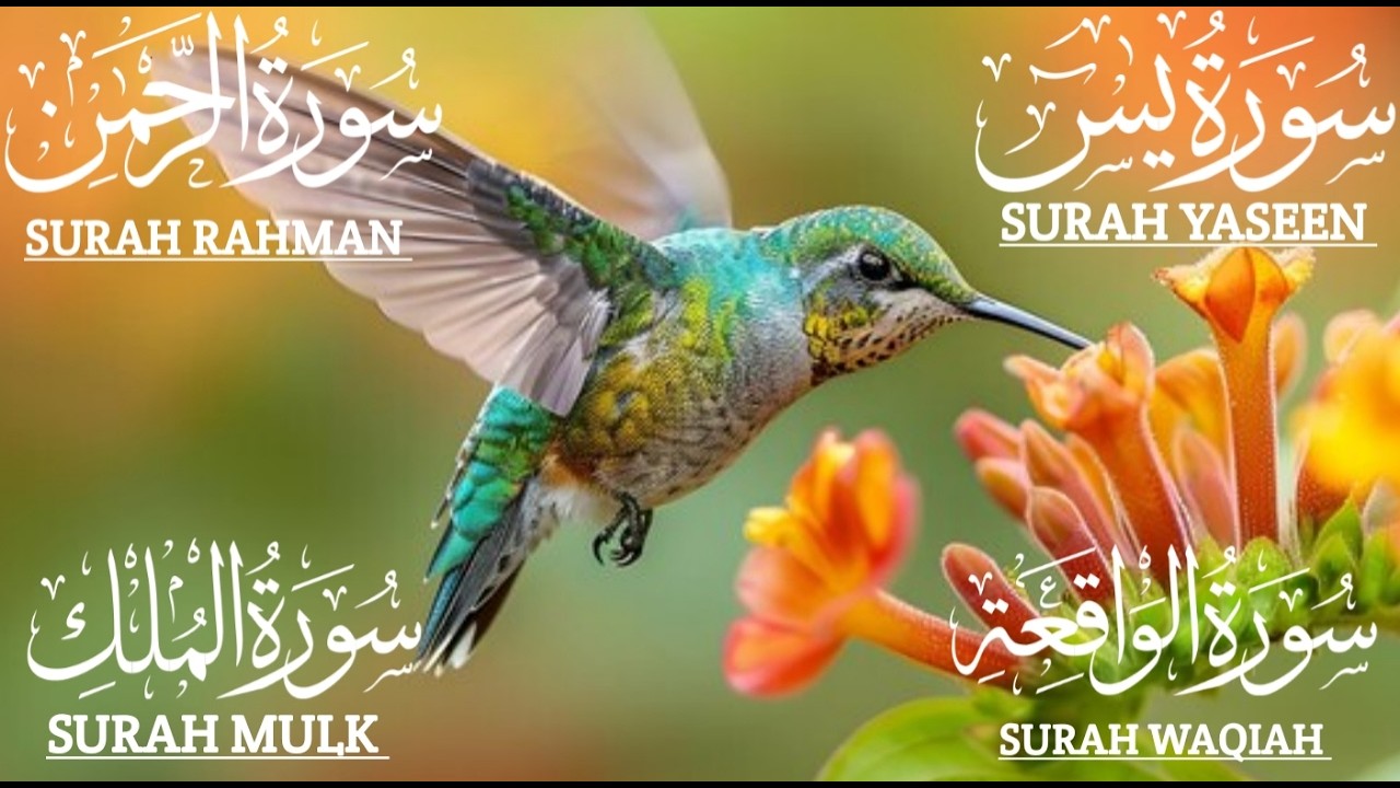 تلاوة عذبة تريح القلب سورة يس🤲الواقعة❤️الرحمن +الملك لزيادة الرزق و البركة #quranrecitation #اكسبلور