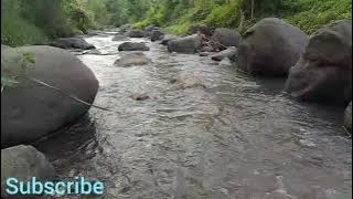 Vlog melihat keindahan sungai