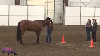 4365 Showmanship; WAHSET State 2021