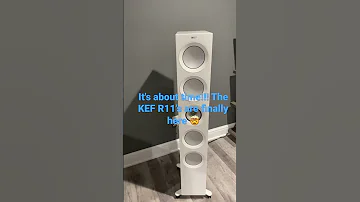 The KEF R11 S Are Finally Here Shorts 