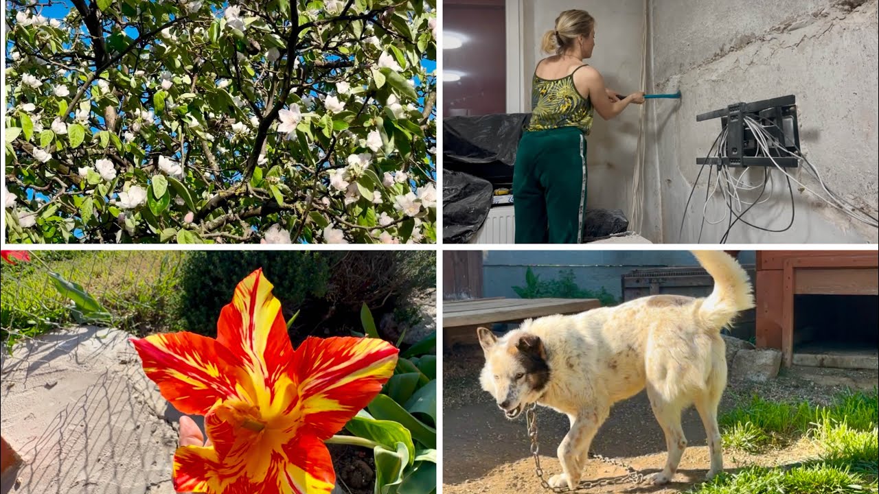 Домашние моменты