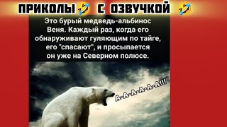 на северном полюсе смотри смешные картинки мемы котики приколы с озвучкой 🤣